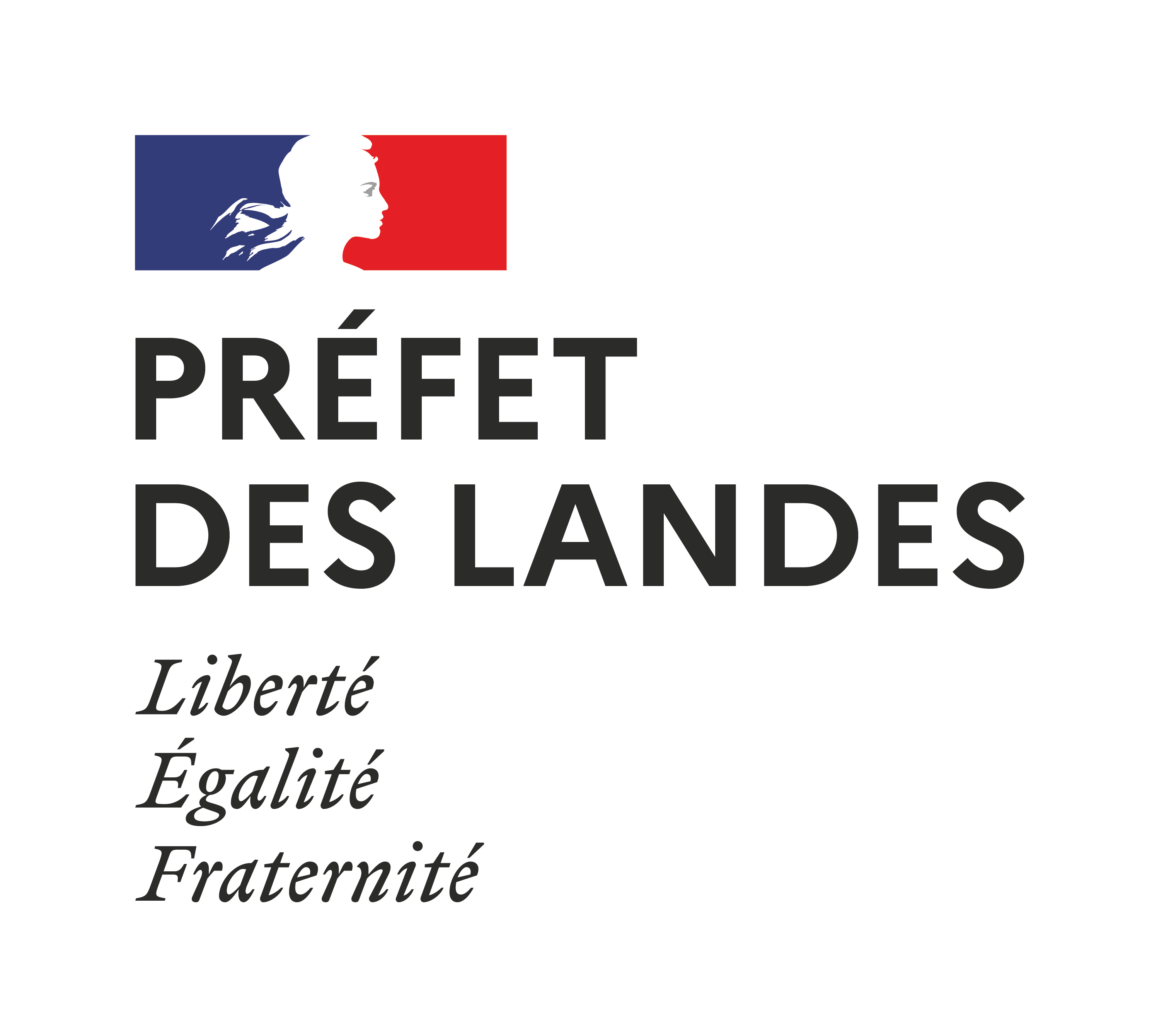 Service Départemental à la Jeunesse à l’Engagement et aux Sports